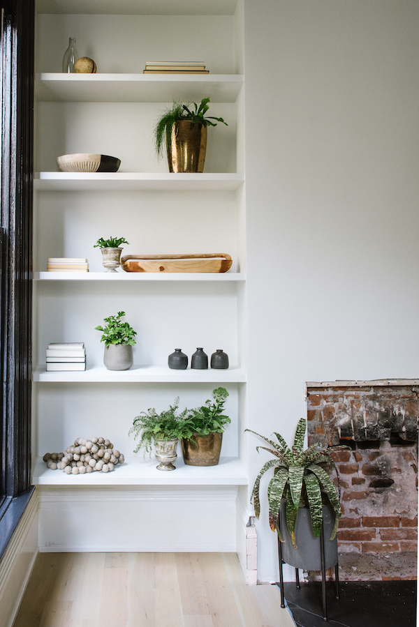 How to Amp up Your Space with Houseplants