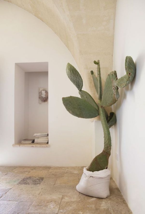 An Escape-Worthy Home in Puglia